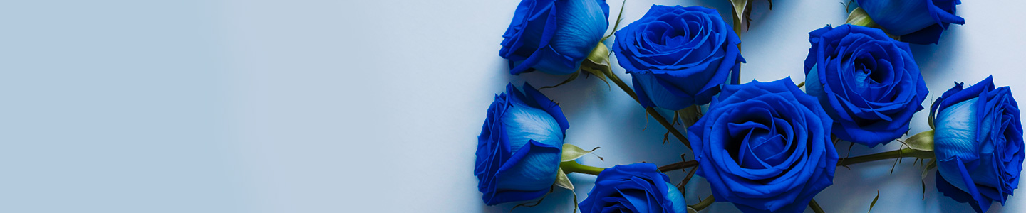 Blue roses