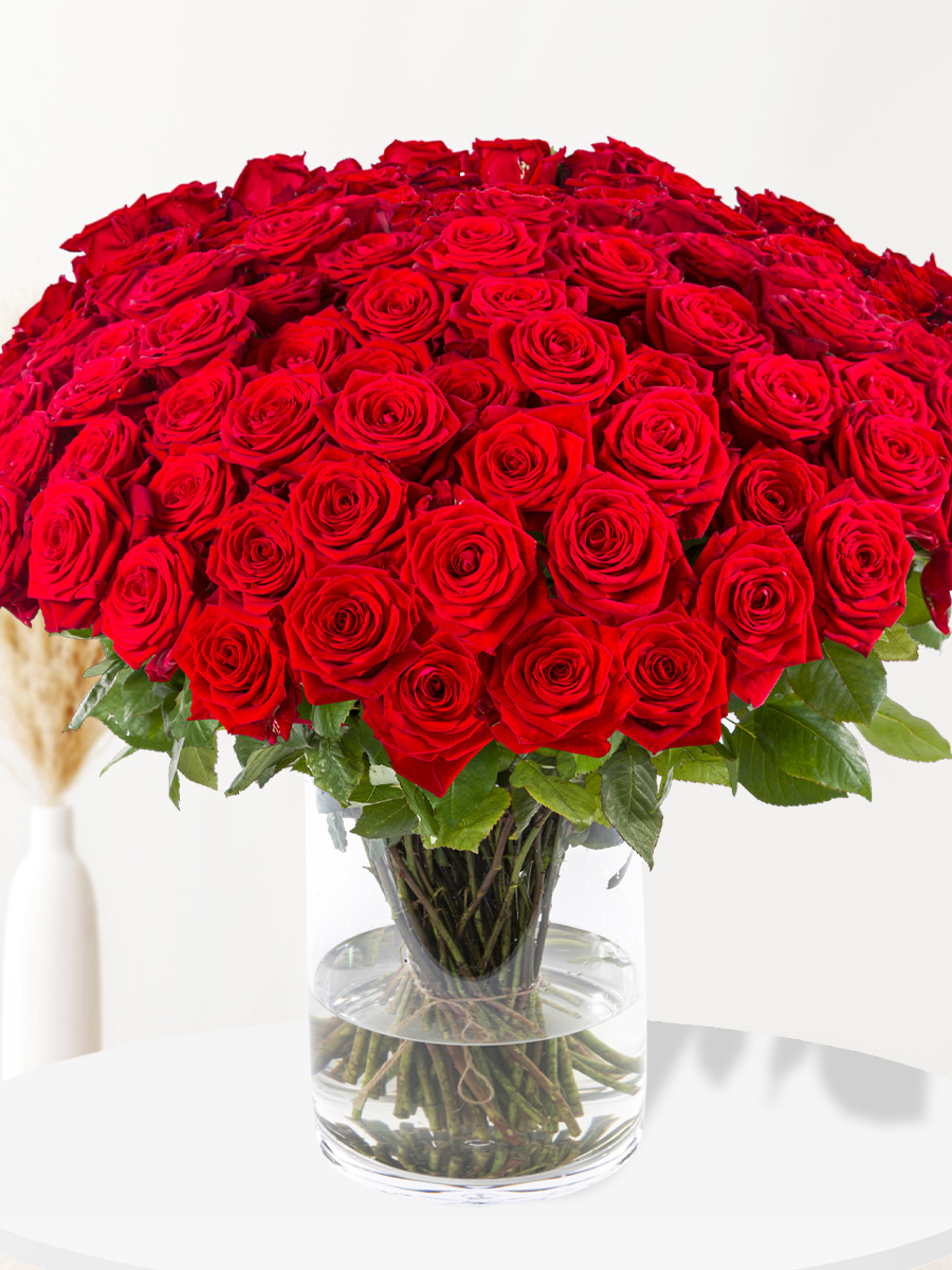 100 red roses - Red Naomi