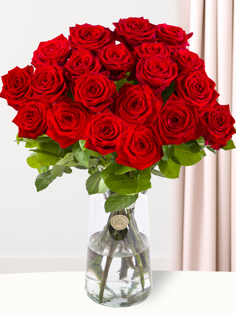 20 red roses | SURPROSE