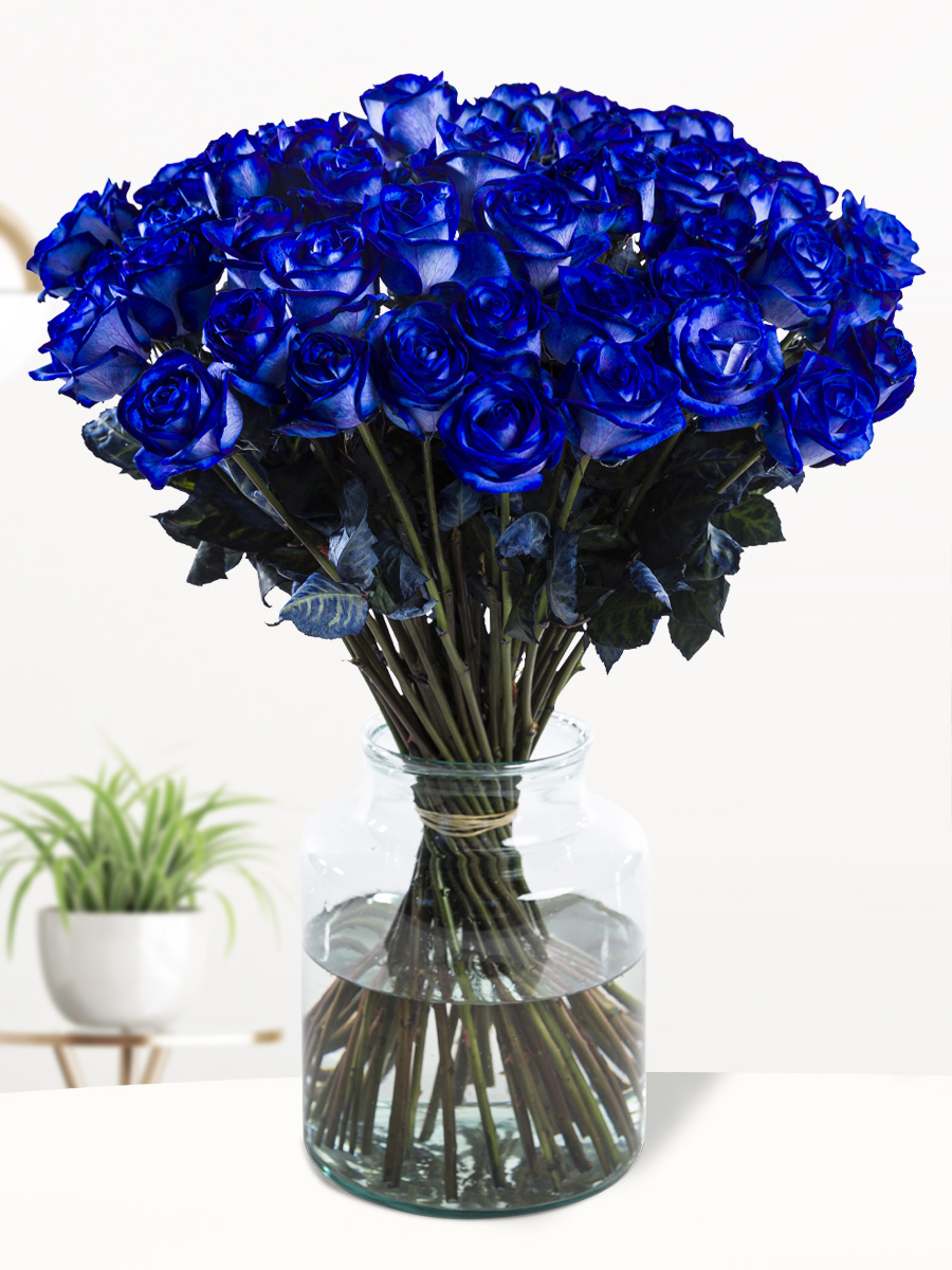 Untitleddesign_29.png?v=1664643764