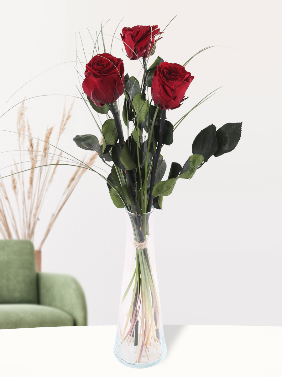 Vase De Roses Rose Vif Mocoosy 12PCS Red Artificial Rose Flowers, Silk — free download