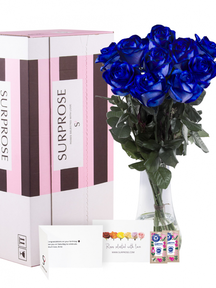 10 blue roses order | Fresh blue roses from SURPROSE.COM