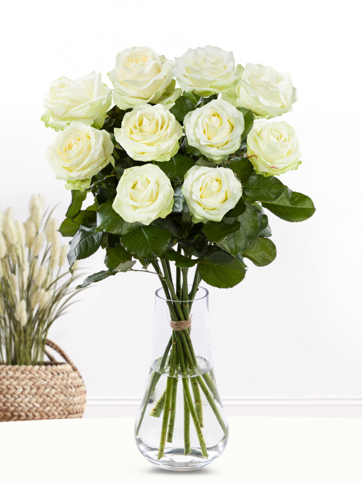 10 white roses | Fresh from the grower | SURPROSE.COM