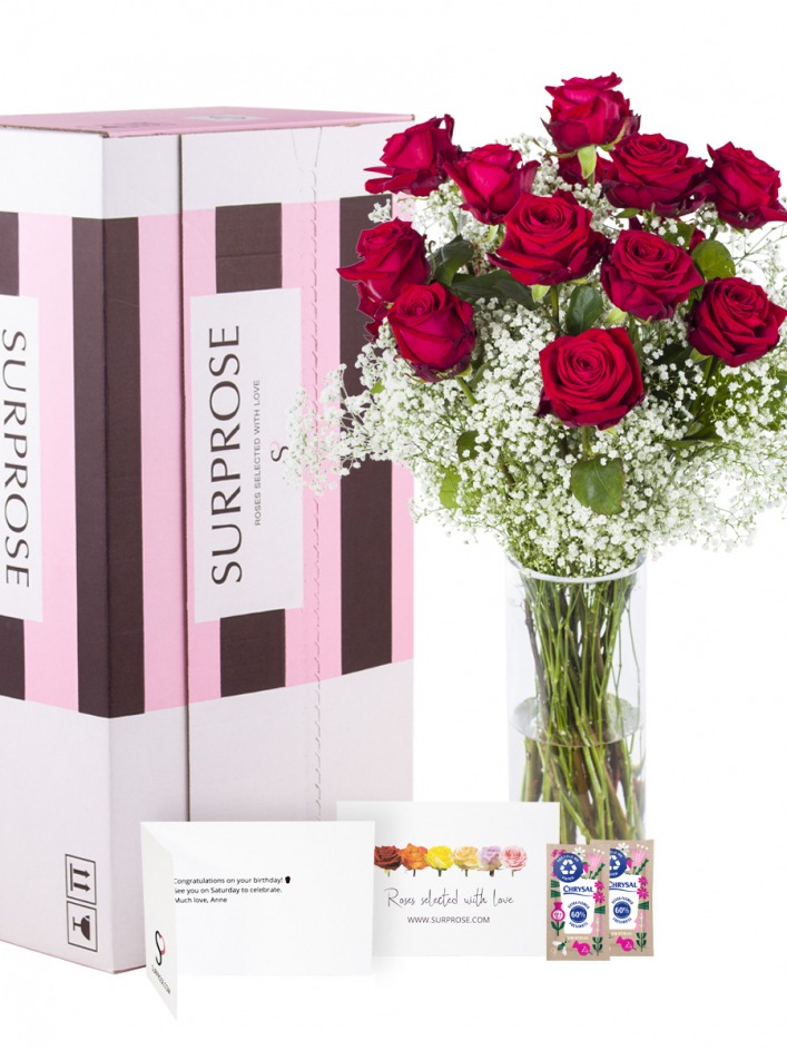 Dozen Red Roses with Gypsophila Gift Box