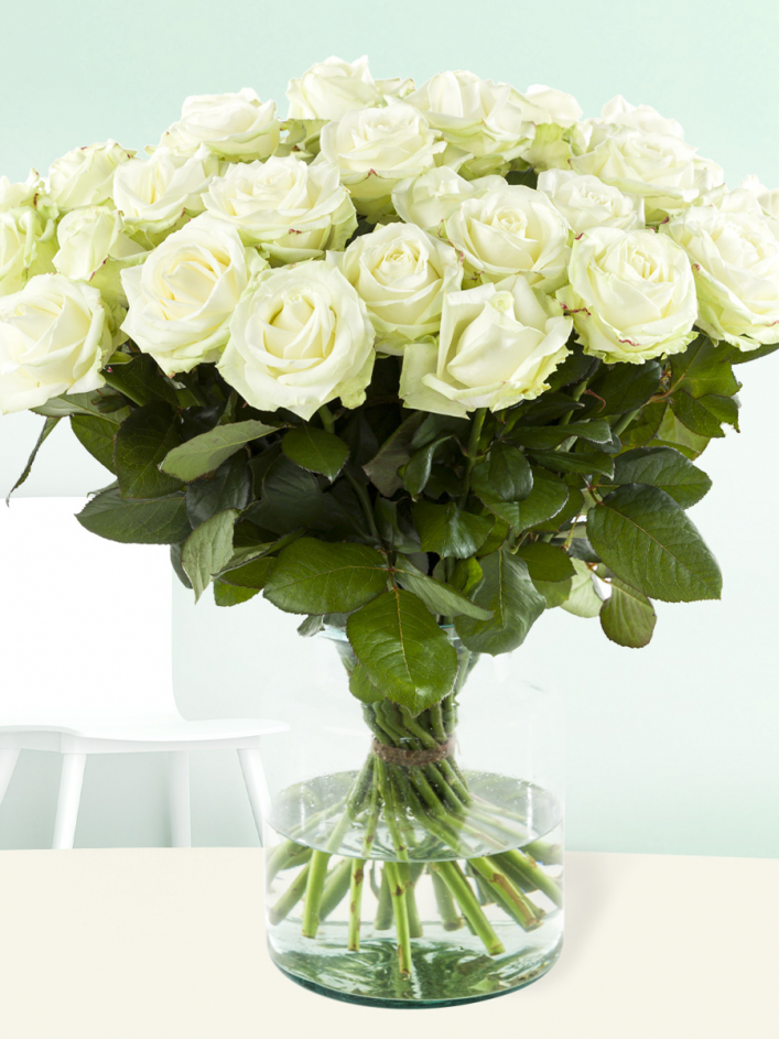 20 White Roses, Ivory Avalanche White Rose Bouquet