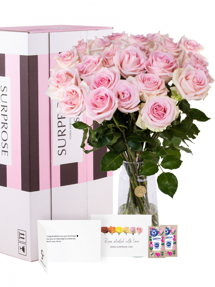 25 soft pink roses - Sweet Revival | Fresh roses | SURPROSE