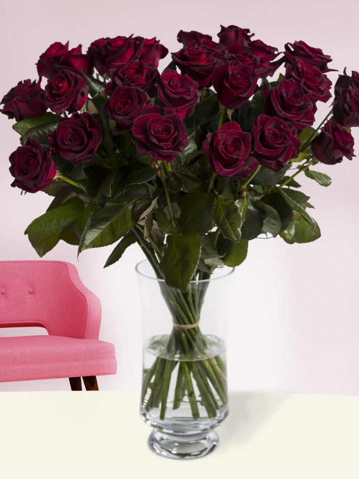 Baccara roses sales
