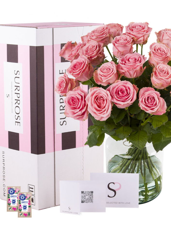30 pink XXL roses - Sophia Loren | SURPROSE.COM