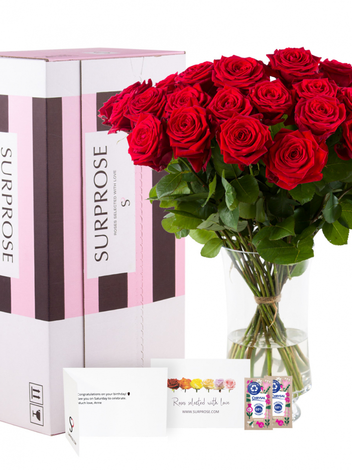Dozen Red Roses with Gypsophila Gift Box