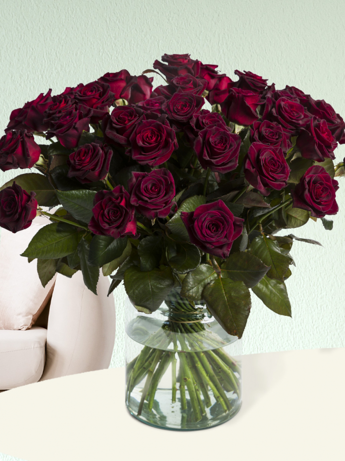 50 deep red roses Black Baccara Surprose