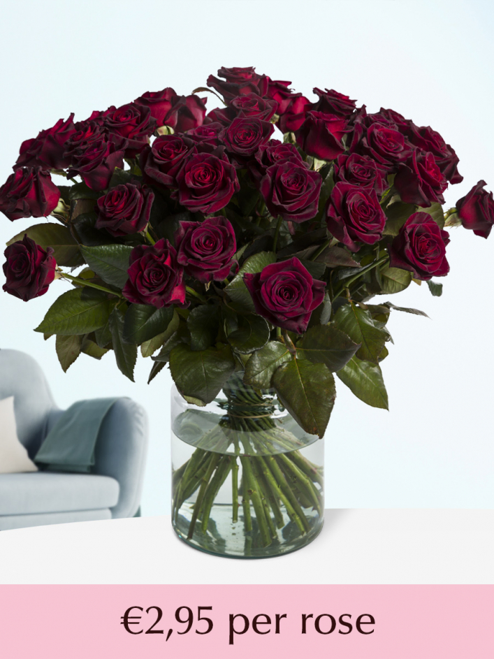 Deep red roses - Choose your number of roses | Surprose.com
