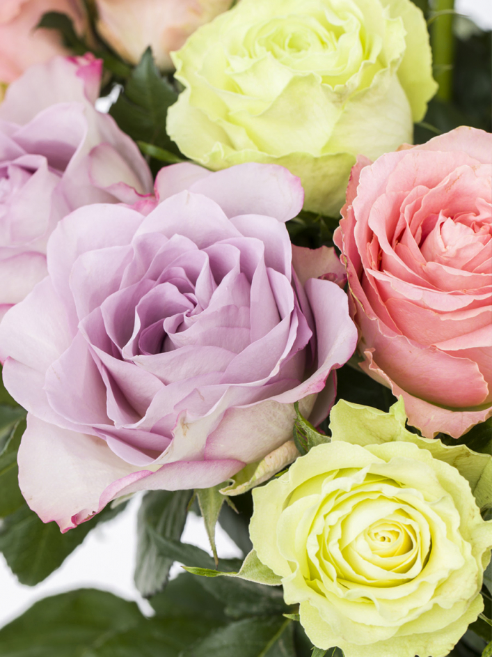 Luxurious English pastel mix