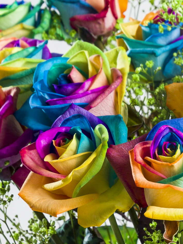 Rainbow Roses with Gypsophila Bouquet Rainbow Roses with Gypsophila Bouquet