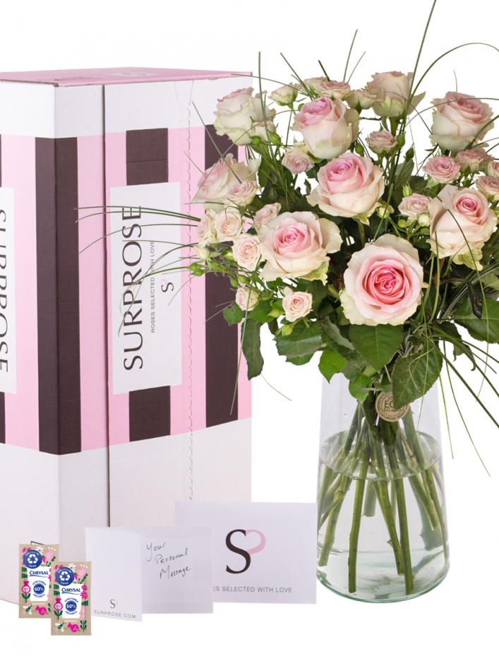 BAISER ベーゼ EN FLEUR 限定BOX Weiss Schwarz Rose/☆Pack/Box/Deck]HARUKAZE Booster Box