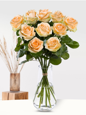 10 salmon-coloured roses