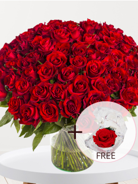 100 red roses - EverRed