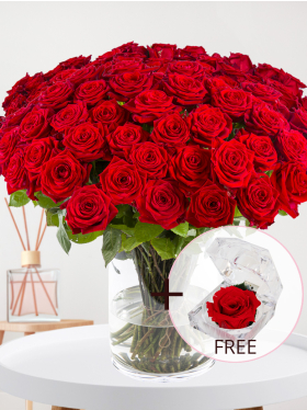 100 red roses - Red Naomi