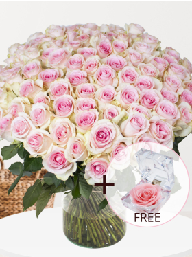 100 soft pink roses - Sweet Revival