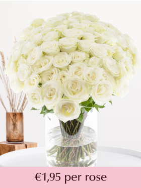 100 till 499 white roses - Snowstorm