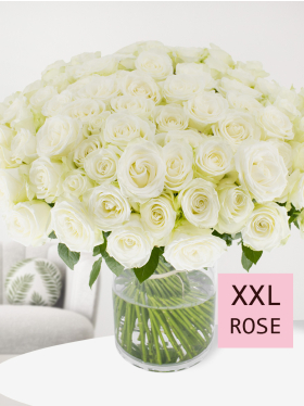 100 white roses - Snowstorm