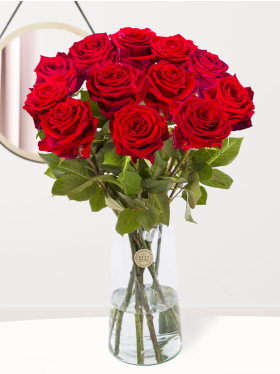 12 red roses - Red Naomi
