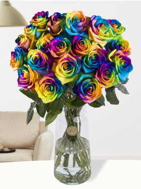 20 rainbow roses