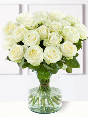 20 white roses - Avalanche