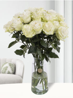 20 white roses from Ecuador