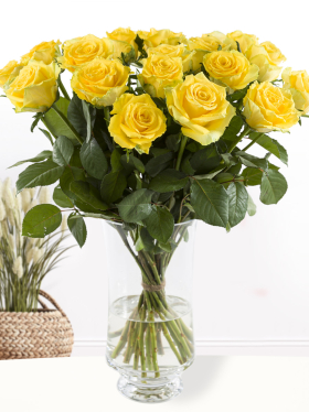 20 yellow roses