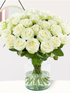 30 white roses - Avalanche