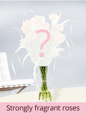 White cream bouquet of 12 fragrant roses