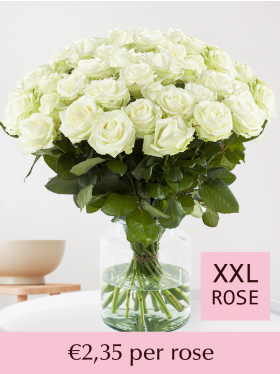 Choose your number of white roses - 100 till 499