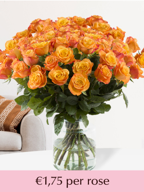 100 to 499 orange roses