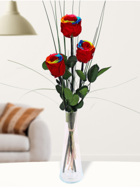Three long life rainbow roses