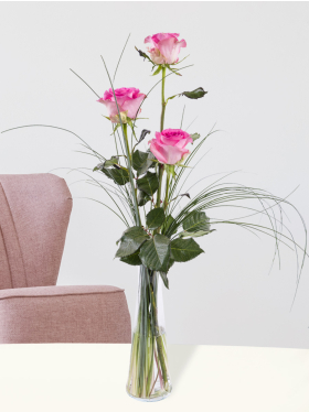 Three pink roses, including vase - Revival