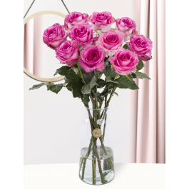10 pink roses - Revival | Bright pink roses | Surprose.com