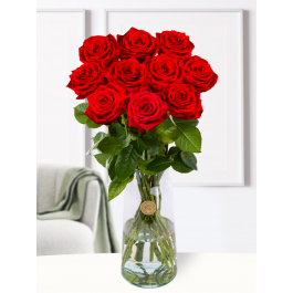 10 red roses - Surprose