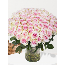 【roseさま】Vintage　pinkrose　ドイリー Rose Senorita Pink 50cm - Wholesale - Blooms By The Box