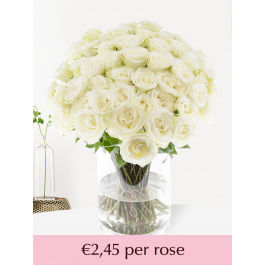 Roses While We're Here 