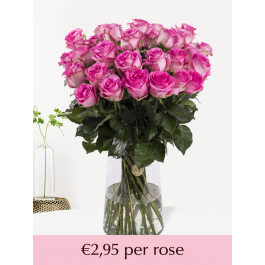 素敵でユニークな 保障できる】 ☆happy rose様ご購入苗㉕-349㉕-354㉕-367㉕-372 花