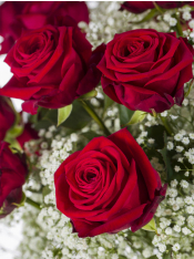 15 roses with gypsophila - Red Naomi XXl | Surprose