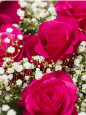 HAPPY BRIDE® - Nirp