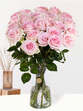 10, 20, 30 soft pink roses - Sweet Revival