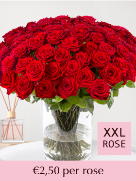 10 to 99 red roses - Red Naomi