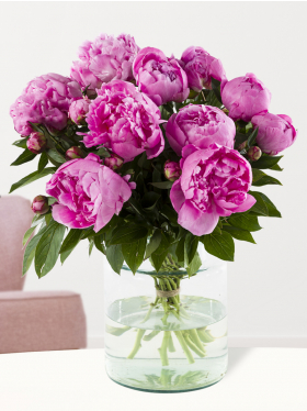 10 hard pink peonies