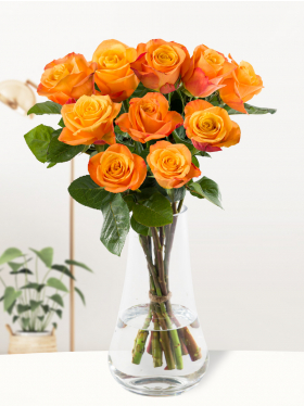 10 orange roses