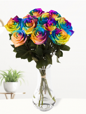 10 rainbow roses