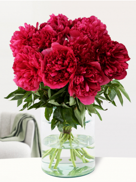 10 red peonies