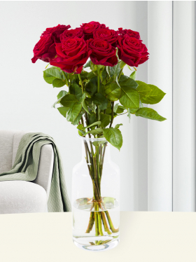 10 red roses - Red Naomi