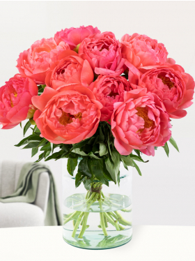 10 salmon-coloured peonies